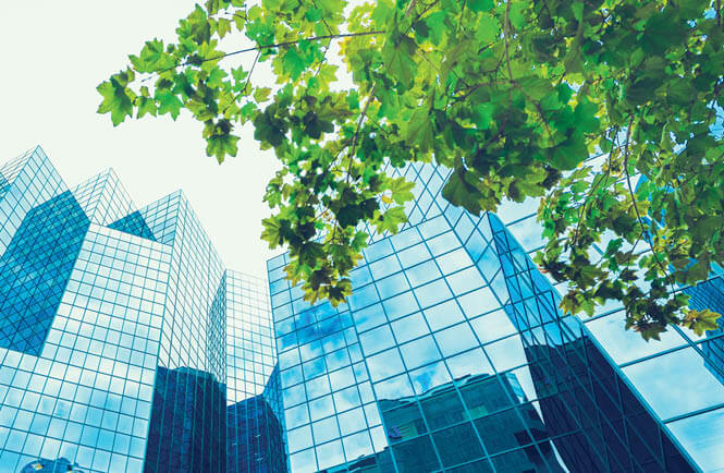 product stewardship greener buildings